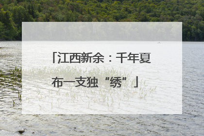 江西新余：千年夏布一支独“绣”