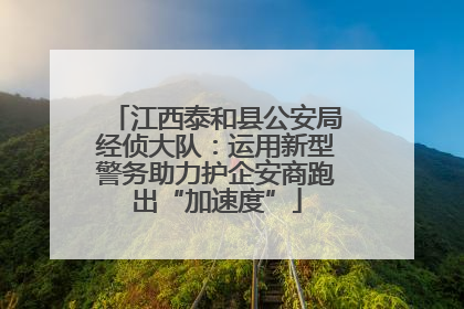 江西泰和县公安局经侦大队：运用新型警务助力护企安商跑出“加速度”