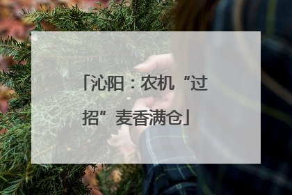 沁阳：农机“过招”麦香满仓