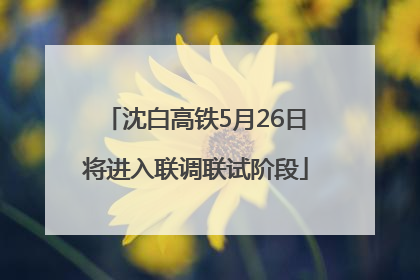 沈白高铁5月26日将进入联调联试阶段