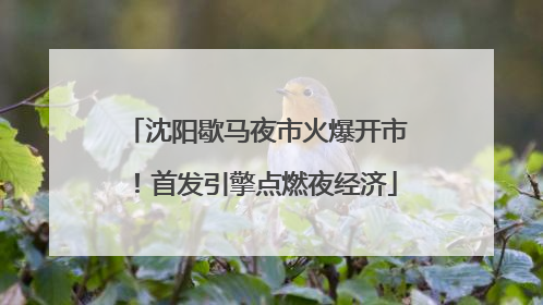 沈阳歇马夜市火爆开市！首发引擎点燃夜经济