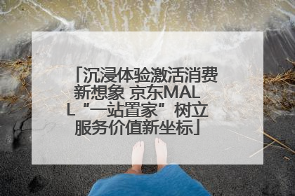 沉浸体验激活消费新想象 京东MALL“一站置家”树立服务价值新坐标
