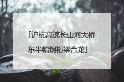 沪杭高速长山河大桥东半幅钢桁梁合龙