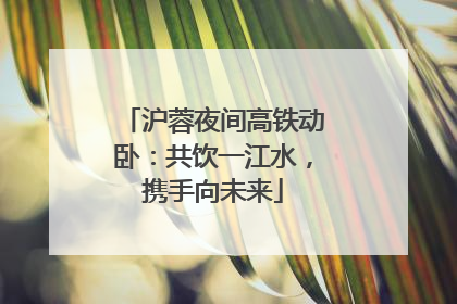 沪蓉夜间高铁动卧：共饮一江水，携手向未来