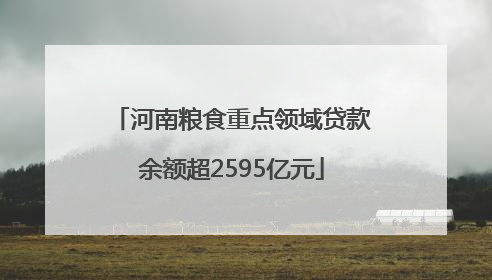 河南粮食重点领域贷款余额超2595亿元
