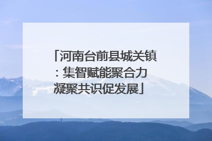 河南台前县城关镇：集智赋能聚合力 凝聚共识促发展