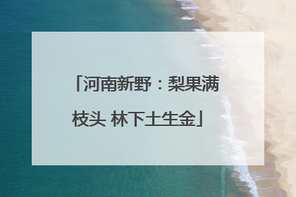 河南新野：梨果满枝头 林下土生金