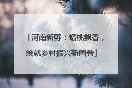 河南新野：蟠桃飘香，绘就乡村振兴新画卷