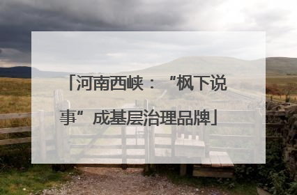 河南西峡：“枫下说事”成基层治理品牌