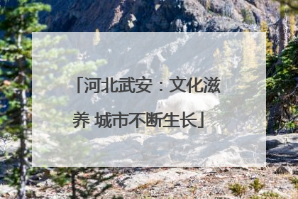 河北武安：文化滋养 城市不断生长