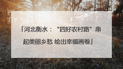 河北衡水：“四好农村路”串起美丽乡愁 绘出幸福画卷
