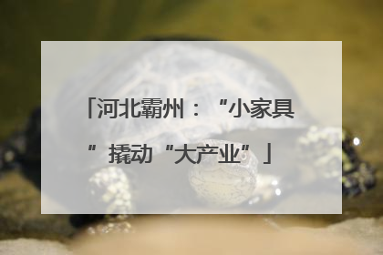 河北霸州：“小家具”撬动“大产业”