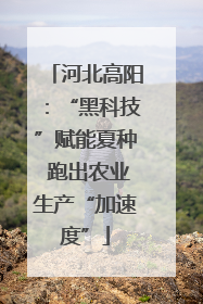 河北高阳：“黑科技”赋能夏种 跑出农业生产“加速度”
