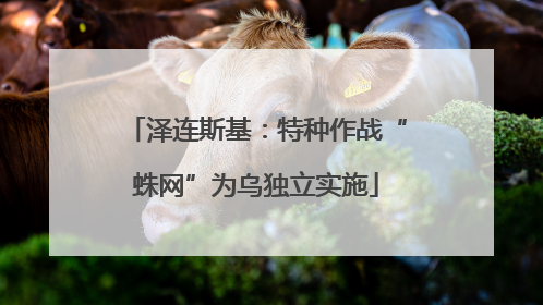 泽连斯基：特种作战“蛛网”为乌独立实施