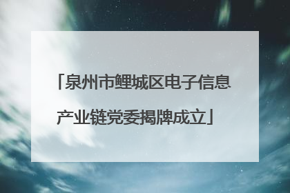 泉州市鲤城区电子信息产业链党委揭牌成立