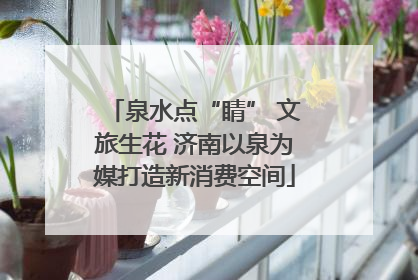 泉水点“睛” 文旅生花 济南以泉为媒打造新消费空间