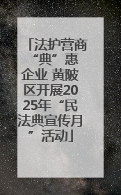 法护营商 “典”惠企业 黄陂区开展2025年“民法典宣传月”活动