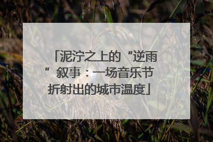 泥泞之上的“逆雨”叙事：一场音乐节折射出的城市温度