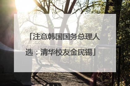 注意韩国国务总理人选：清华校友金民锡