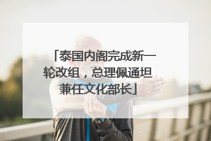 泰国内阁完成新一轮改组，总理佩通坦兼任文化部长