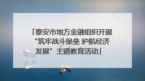 泰安市地方金融组织开展“筑牢战斗堡垒 护航经济发展”主题教育活动