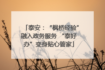 泰安：“枫桥经验”融入政务服务 “泰好办”变身贴心管家