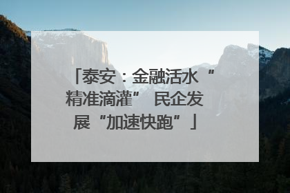 泰安：金融活水“精准滴灌” 民企发展“加速快跑”