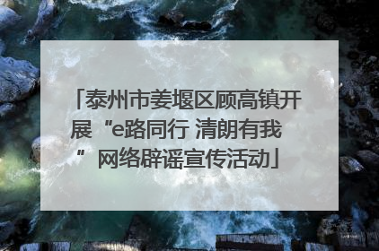 泰州市姜堰区顾高镇开展“e路同行 清朗有我”网络辟谣宣传活动