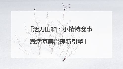 活力田和：小精特赛事激活基层治理新引擎