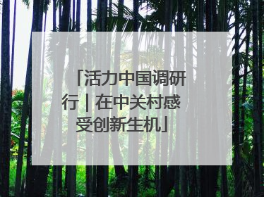活力中国调研行｜在中关村感受创新生机
