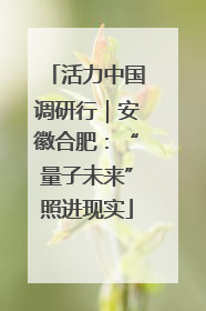 活力中国调研行｜安徽合肥：“量子未来”照进现实