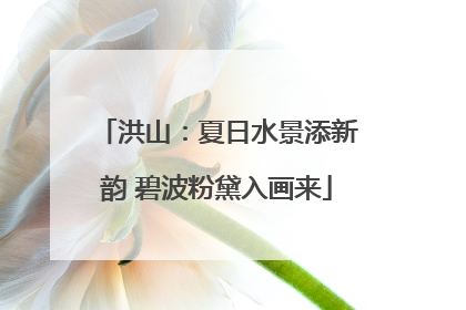 洪山：夏日水景添新韵 碧波粉黛入画来