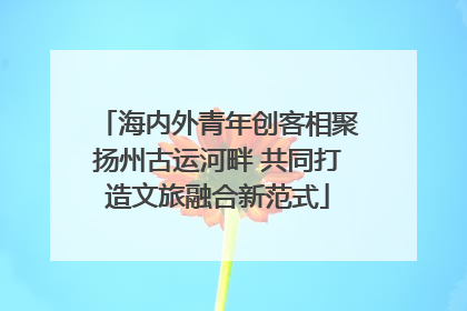 海内外青年创客相聚扬州古运河畔 共同打造文旅融合新范式
