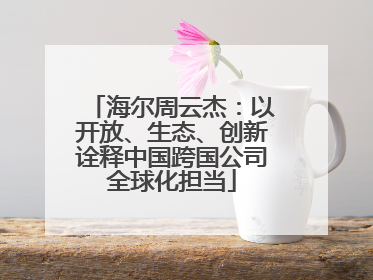 海尔周云杰：以开放、生态、创新诠释中国跨国公司全球化担当