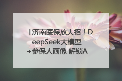 济南医保放大招！DeepSeek大模型+参保人画像 解锁AI医保管家新体验