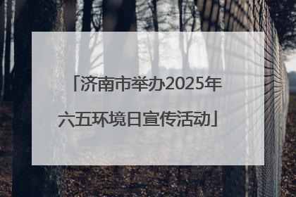 济南市举办2025年六五环境日宣传活动