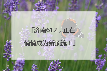 济南612，正在悄悄成为新顶流！