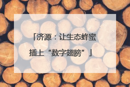 济源：让生态蜂蜜插上“数字翅膀”