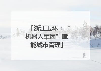浙江玉环：“机器人军团”赋能城市管理