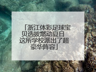 浙江体彩足球宝贝选拔燃动夏日 这所学校派出了超豪华阵容