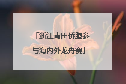 浙江青田侨胞参与海内外龙舟赛