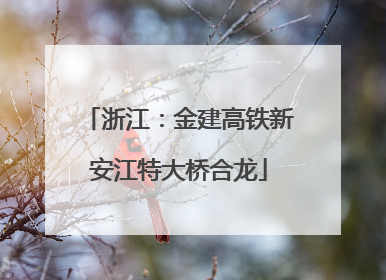 浙江：金建高铁新安江特大桥合龙