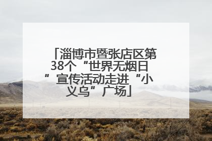 淄博市暨张店区第38个“世界无烟日”宣传活动走进“小义乌”广场