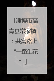 淄博市高青县常家镇：共富路上“一路生花”