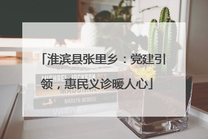 淮滨县张里乡：党建引领，惠民义诊暖人心