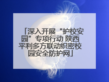 深入开展“护校安园”专项行动 陕西平利多方联动织密校园安全防护网