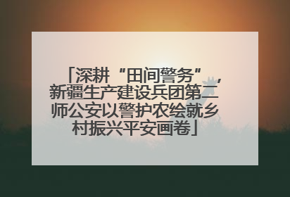深耕“田间警务”，新疆生产建设兵团第二师公安以警护农绘就乡村振兴平安画卷