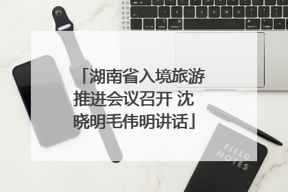 湖南省入境旅游推进会议召开 沈晓明毛伟明讲话