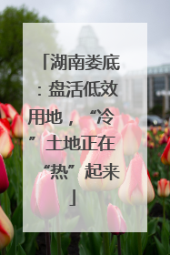 湖南娄底：盘活低效用地，“冷”土地正在“热”起来