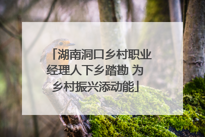 湖南洞口乡村职业经理人下乡踏勘 为乡村振兴添动能